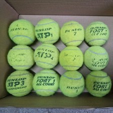 Tennis Balls Used X 12 Dunlop