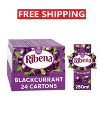 Ribena Blackcurrant Flavour Cartons Fruit Juice 250ml Pack Of 24