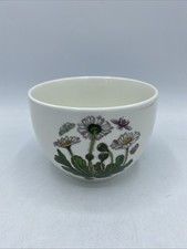 Portmeirion The Botanic Garden