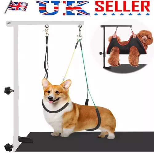 Dog grooming table - grooming,