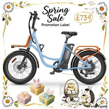 2025 Hot,e Electric Bike 250W