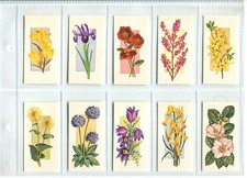 Flowers All Year Round 1977 Craven Black Cat Cigarette Cards - Set of 50 Cards