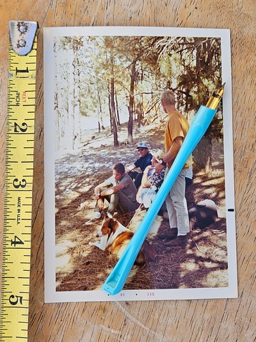 Vintage lassie collie dog mgm - lassie,