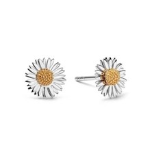 Daisy London Michaelmas Daisy Stud Earring in Sterling Silver & YGP - E6080