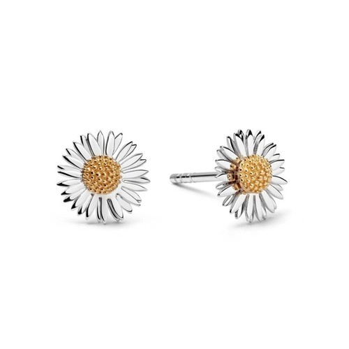 Daisy london michaelmas - daisy,