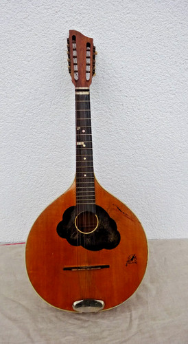 Forest zither framus approx - forest,