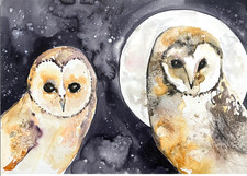 Original Watercolour Owl
