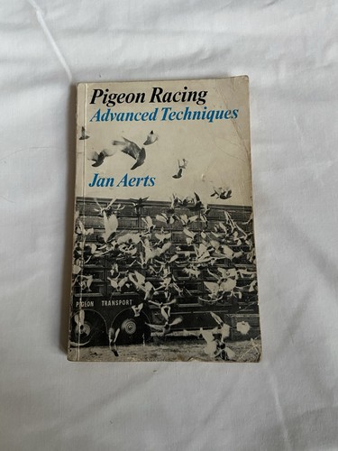 Pigeon racing advanced - pigeon,