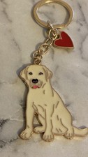 Labrador/ Golden Retriever