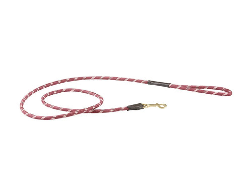Weatherbeeta rope leather dog - weatherbeeta,