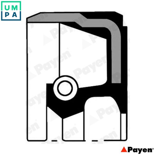 Shaft seal crankshaft - shaft,