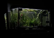 Fish Tank 110 litres 