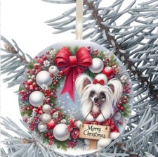 Chinese Crested Dog Hanging