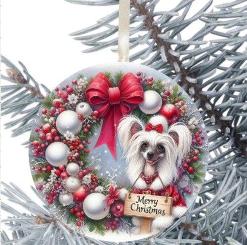 Chinese crested dog - dog, hanging