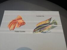 Peninsular and Oriental P&O  - tropical fish CARD  VEILTAIL GOLDFISH CICHLIDAE