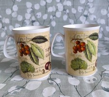 Rose of England 2X Floral Fine