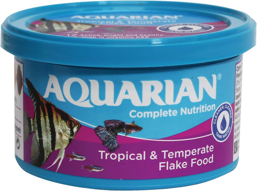 Aquarian tropical fish - fish, food