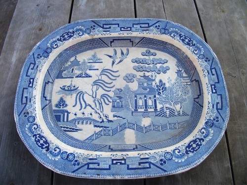 Early blue white willow - early,