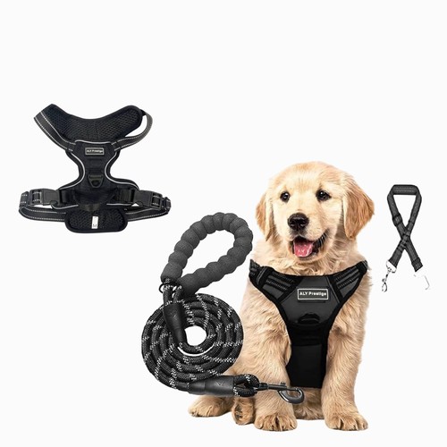 Pull dog harness with leash - no,