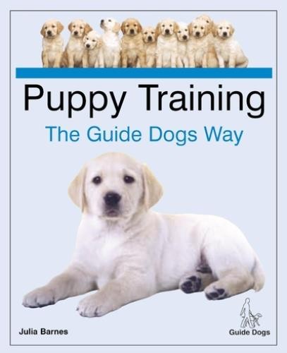 Barnes puppy training - puppy,
