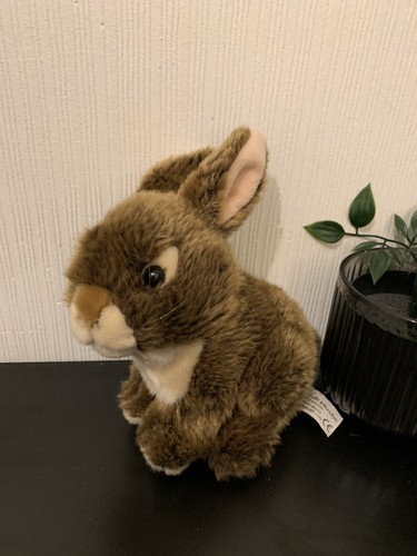 Anna club plush bunny - bunny,