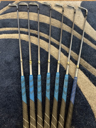 Mizuno cut muscle irons - mizuno,