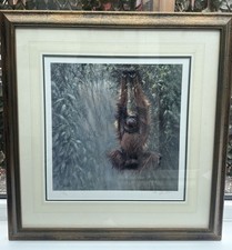 Large 26" Tony Forrest SWINGING BORNEO Gorilla Limited Edition Print With COA