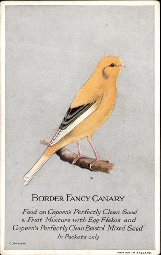 Capern bird seed advertising - capern's,