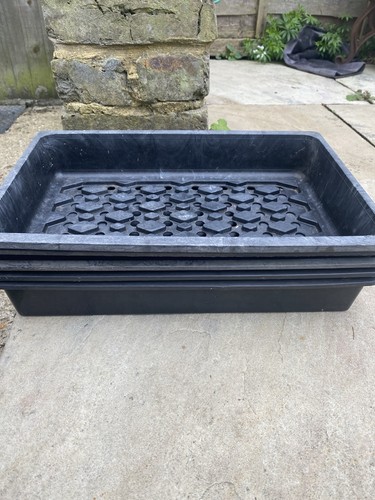Full size rigid - size, trays