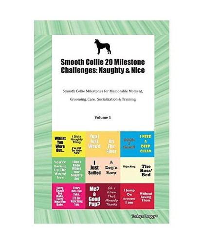 Smooth collie milestone - smooth, 20