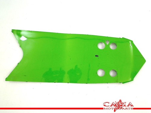 Undertail kawasaki r - zx, 10