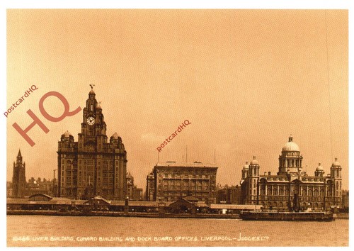 Postcard liverpool liver - postcard-:liverpool,, &