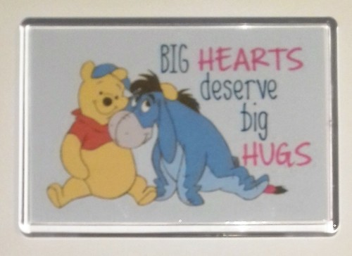 Large fridge magnet - large,