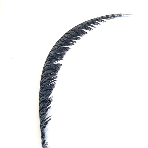 Lady amherst pheasant centre - lady,