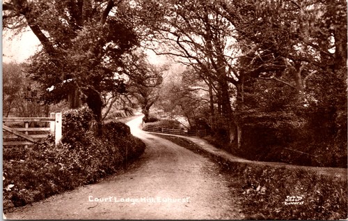Court lodge hill ewhurst - hill,