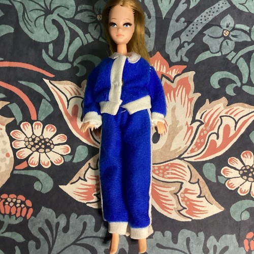 Vintage 1970s pippa doll - vintage,