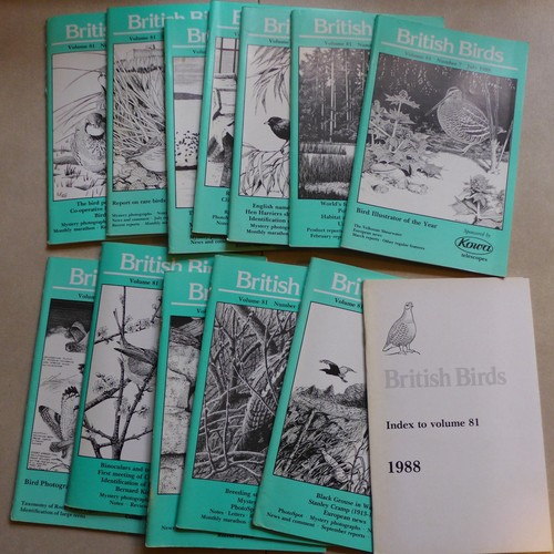 British birds magazines full - birds,