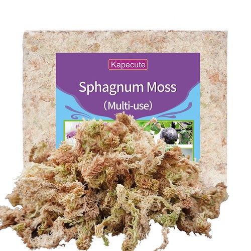 Sphagnum moss 34qt for - for, plant