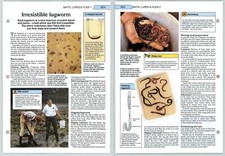 Irresistible Lugworm - Sea Baits, Lures - The Art Of Fishing Page