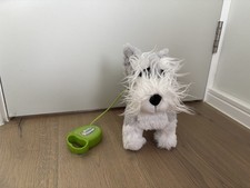 Fluffy Puppies Walking puppy