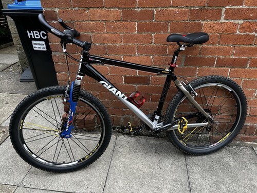 Giant mountain bike - mountain, large