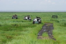 Photo A3 APCs in the marsh