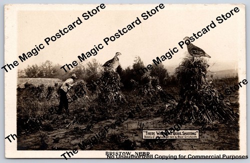 Giant quail crops bristow - on,