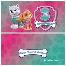 Skye Everest Paw Patrol