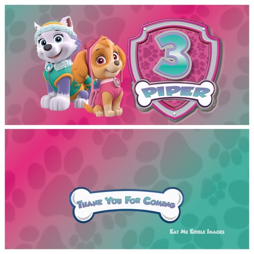 Skye everest paw patrol - skye,