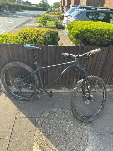 Bikes eccentric 29er gold - ns,
