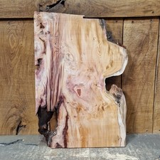Live Edge Yew Slab (357)