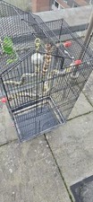 Large Bird Cage For Budgies