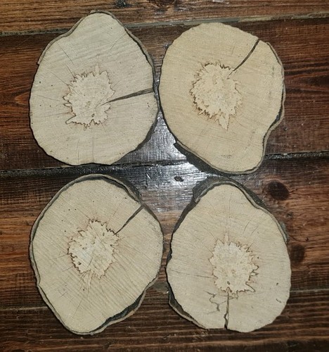 Spalted english hornbeam - x4,
