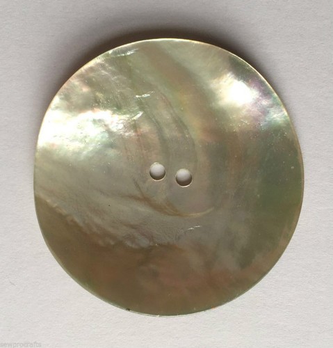 Genuine shell mother of - mother,